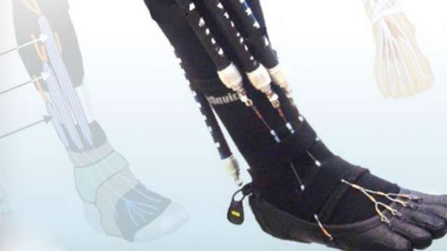 أرشيفية