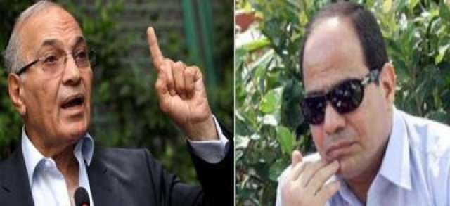 السيسي وشفيق