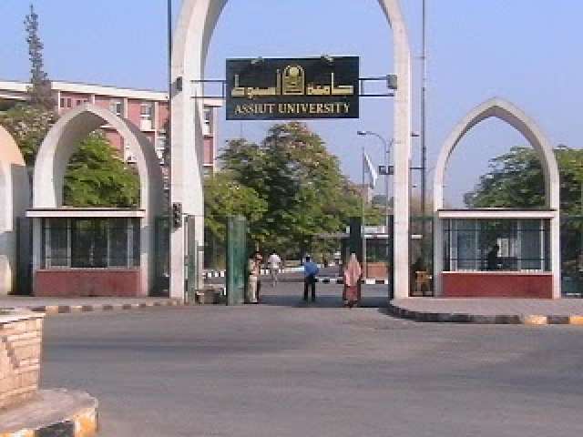 جامعة أسيوط