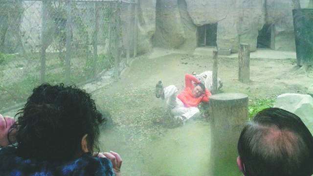 أرشيفية