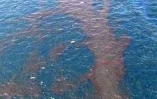 بقعة زيت - صورة أرشيفية