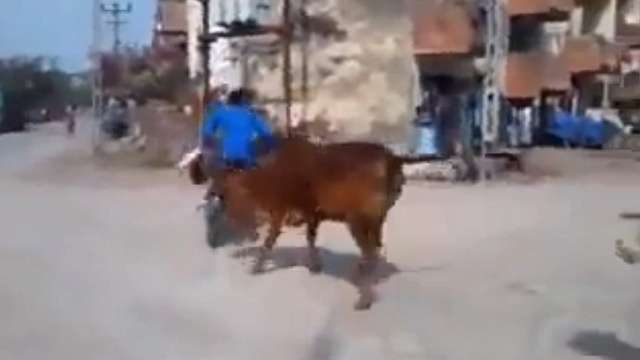 أرشيفية
