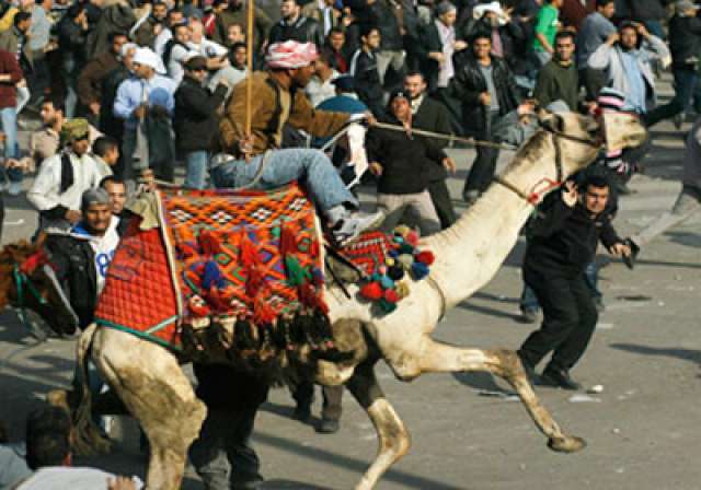 ارشيفية