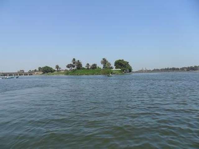 فرع رشيد