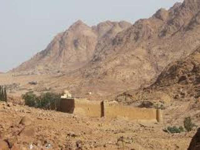 صوره ارشيفيه