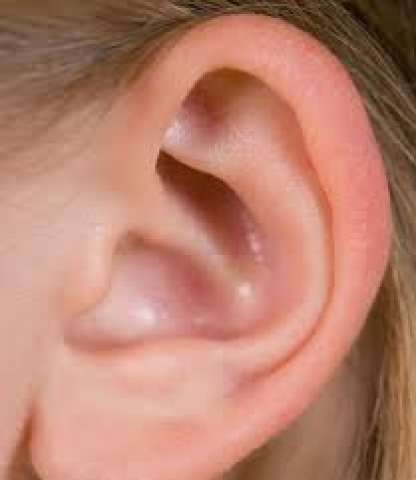 صوره ارشيفيه