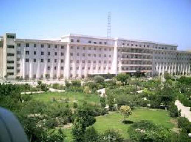 جامعه بني سويف