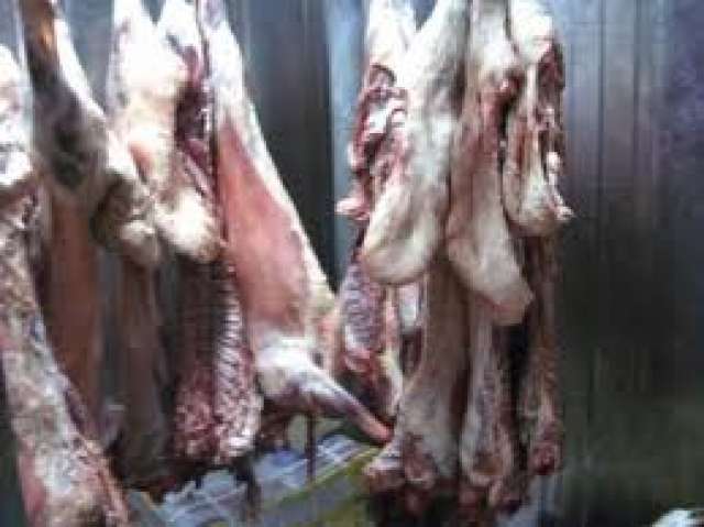 صوره ارشيفيه