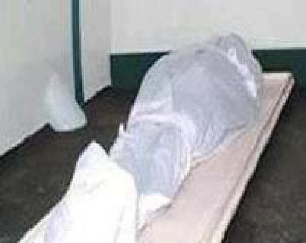 صوره ارشيفيه