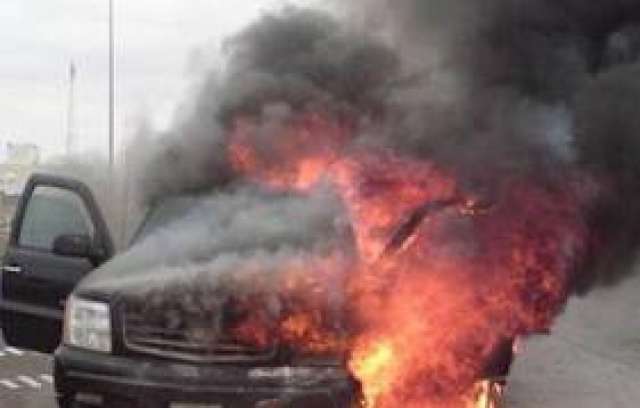 صوره ارشيفيه