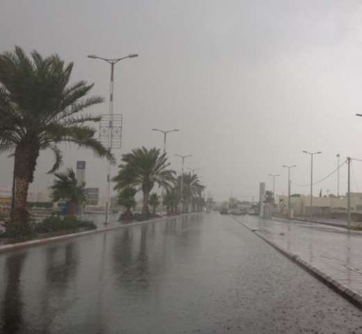 صوره ارشيفيه