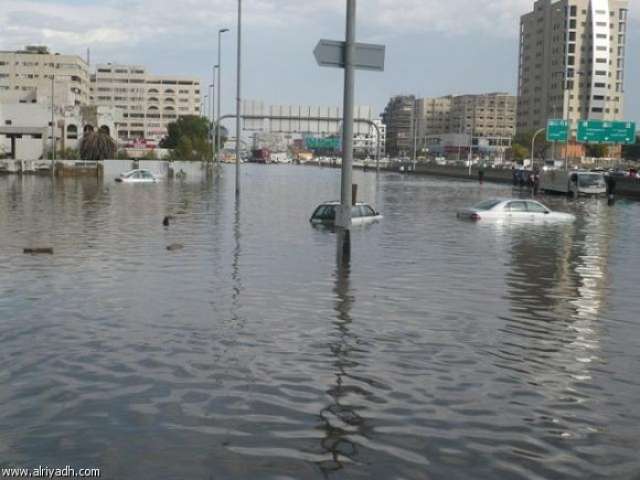 صوره ارشيفيه