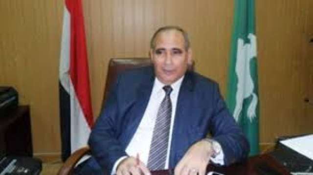 محافظ الشرقية