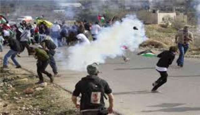 صوره ارشيفيه