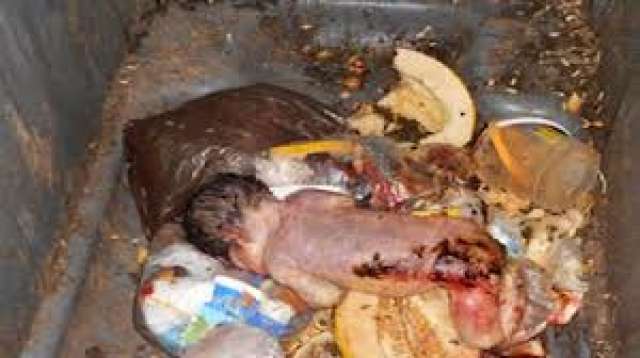 صوره ارشيفيه