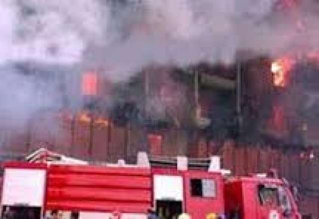 صوره ارشيفيه