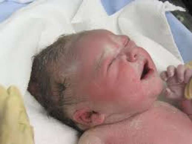 صوره ارشيفيه