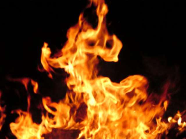 صوره ارشيفيه
