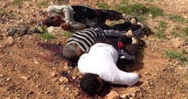 صوره ارشيفه