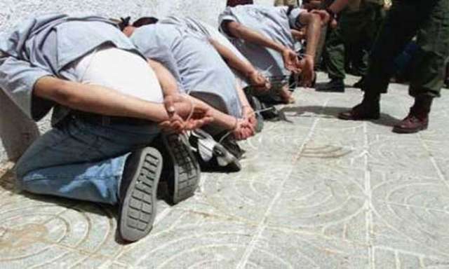 صوره ارشيفيه