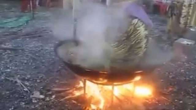 صوره ارشيفيه