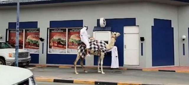 القطرى