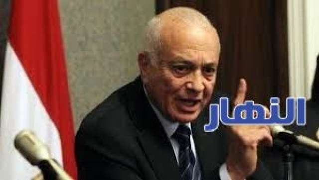 نبيل العربي