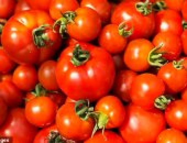 شعبة الخضروات والفاكهة: أسعار الطماطم تنخفض أكثر من 30%