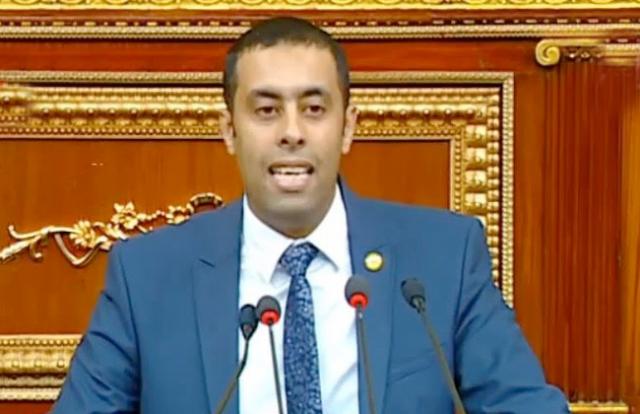 النائب أحمد فرغل