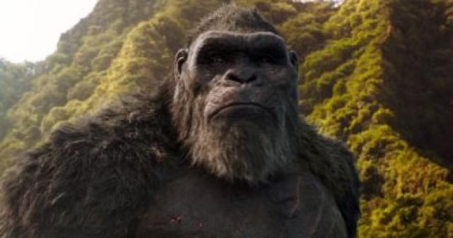 Godzilla vs. Kong