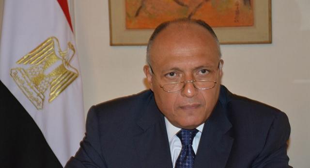 وزير الخارجية المصرى سامح شكرى