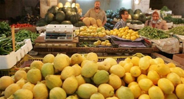 الفلاحين: اسعار الليمون سوف ترتفع ارتفاعا كبيرا الايام القادمه
