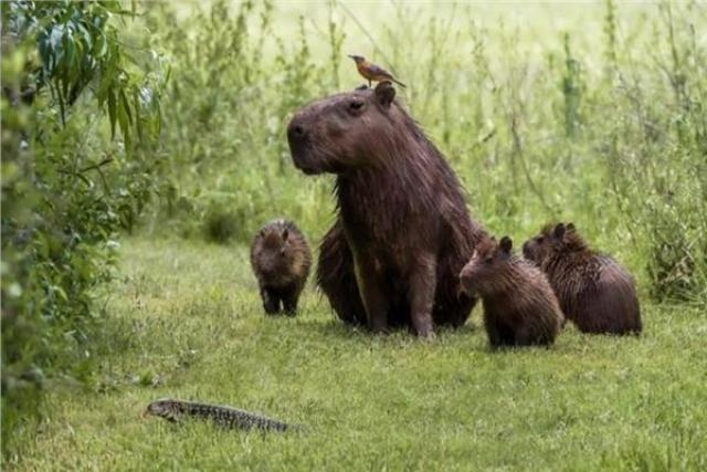 صورة تعبيرية