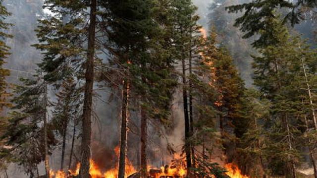 الرئيس الأمريكي يعلن الطوارئ في كاليفورنيا بسبب الحرائق