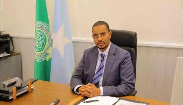 الصومال ومصر يبحثان  سبل التعاون