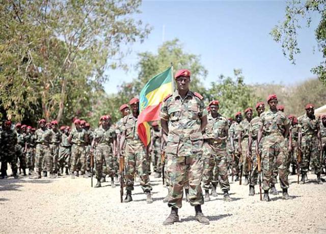 خبير مجموعة الأزمات الدولية يحذر: قوات تيجراي قد تستولي على ممر جيبوتي الطريق الرئيسي للتجارة في أثيوبيا