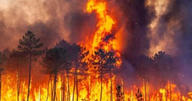 المفوضية الأوروبية: حرائق الغابات التهمت 700 ألف هكتار من أراضى أوروبا