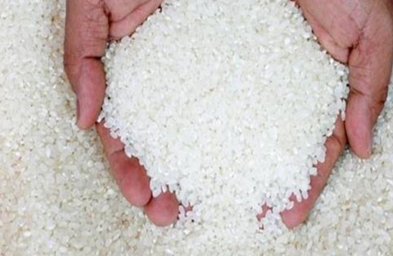 محافظ الشرقية: ارتفاع كمية توريد الأرز إلى 191 طنًا و651 كيلو