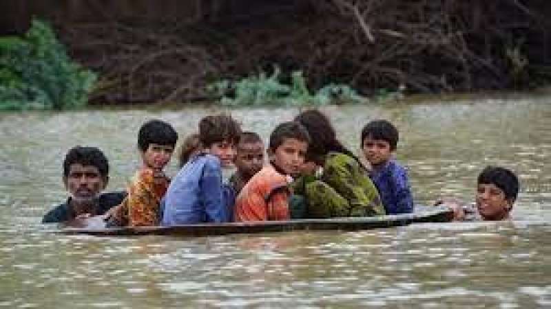 الأمم المتحدة: 5.7 مليون باكستانى سيعانون من أزمة غذاء بسبب الفيضانات