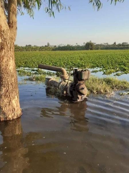 المنوفية: غرق 775 فدانا من أراضي طرح النهر بمركز أشمون بمياه النيل