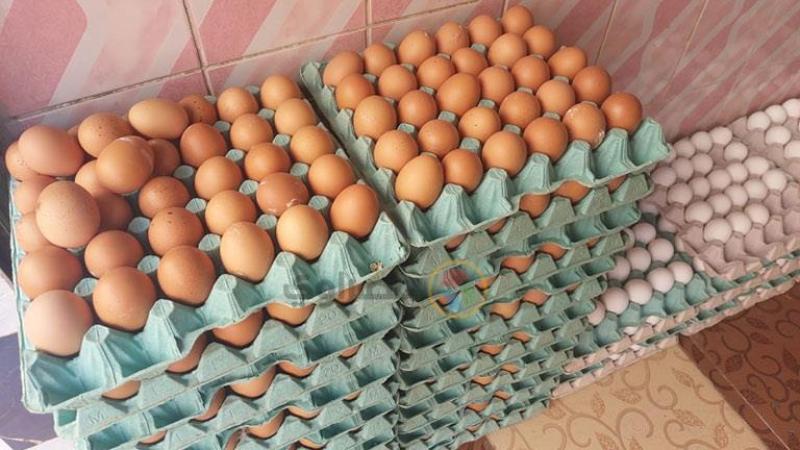 وزارة التموين تطرح بيض المائدة 