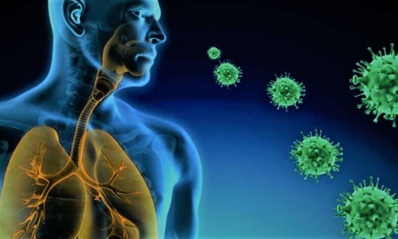 فيروس المخلوي التنفسي