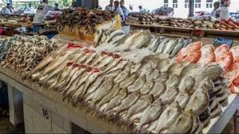 أسعار الأسماك في الأسواق اليوم.. البلطي بـ44 جنيها للكيلو