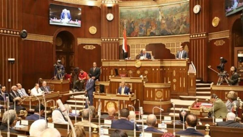 برلماني: حديث الرئيس حمل العديد من رسائل الأمل للشعب المصري