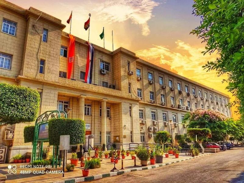 كلية الاقتصاد والعلوم السياسية جامعة القاهرة