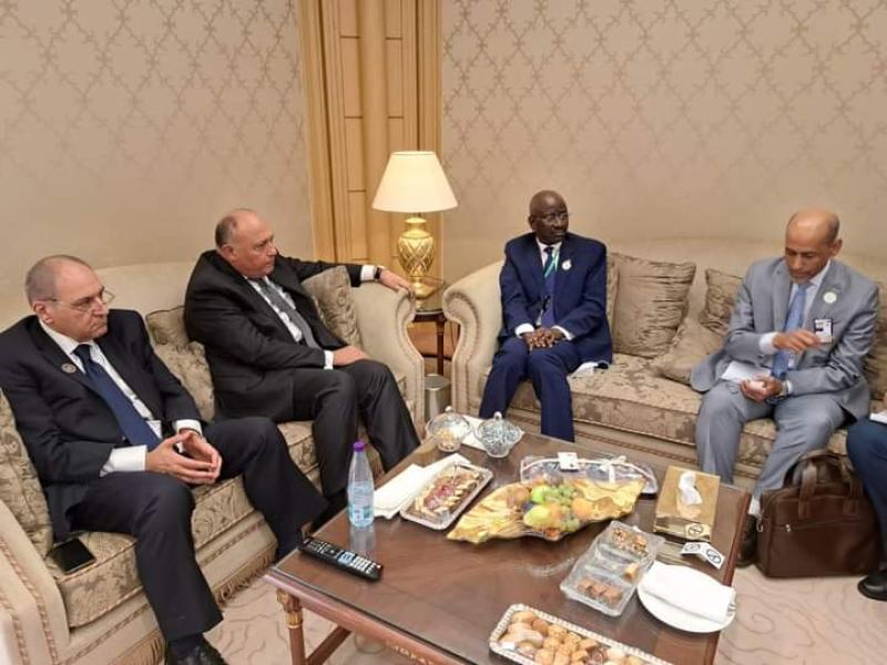 شكري يلتقي وزير الشئون الخارجية والتعاون والموريتانيين في الخارج بالرياض