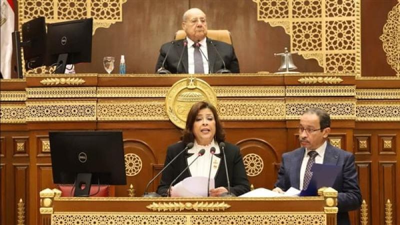عبد الرازق يرفع الجلسة العامة لمجلس الشيوخ