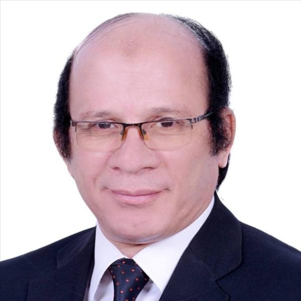 محمد عبد العزيز، أستاذ العلوم والتربية جامعة عين شمس