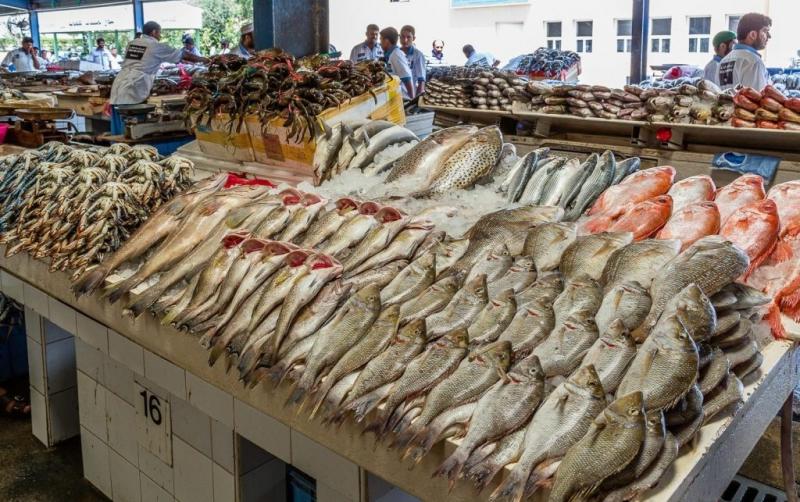البلطي بـ 45 جنية .. بالفيديو| أسعار الاسماك في السوق المصرية ليوم الإثنين 19\12\2022