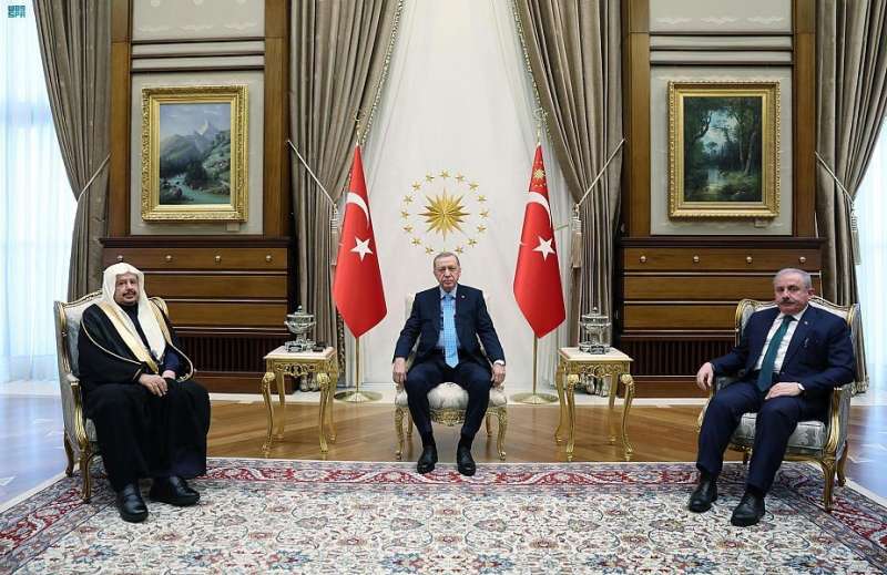 الرئيس التركي يستقبل رئيس مجلس الشورى السعودي